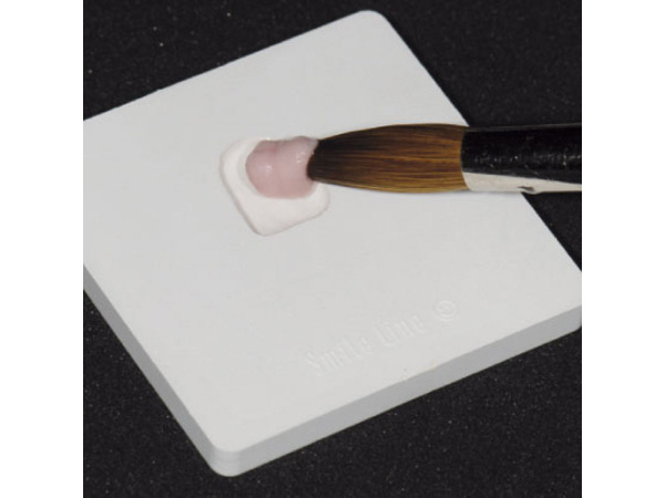 Smile Line My Shade Guide - Silicone mould